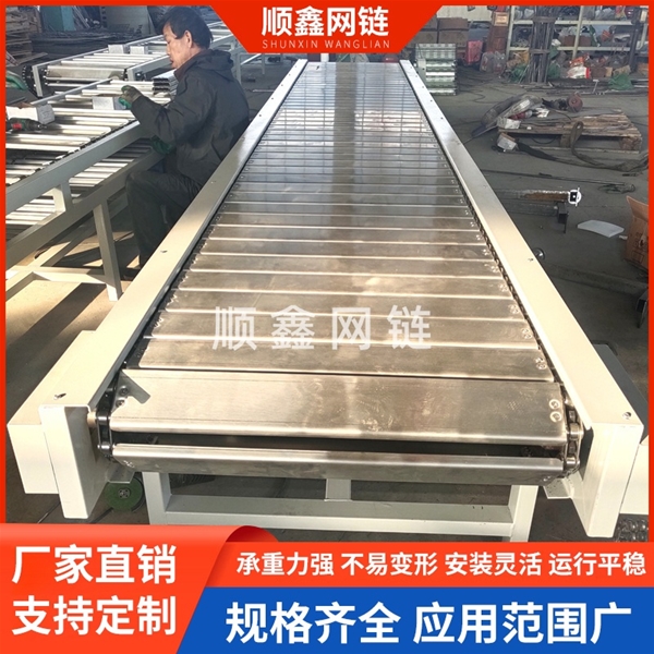 不锈钢链板提升机