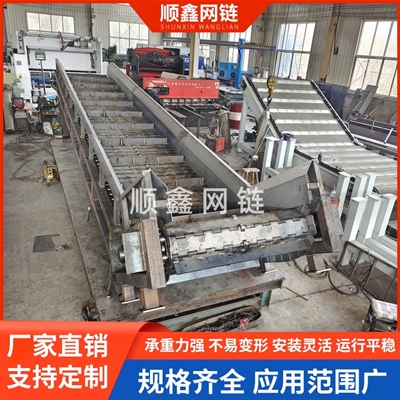 重型链板提升机