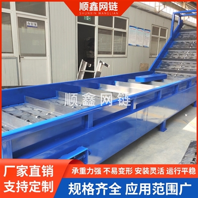 重型链板提升机