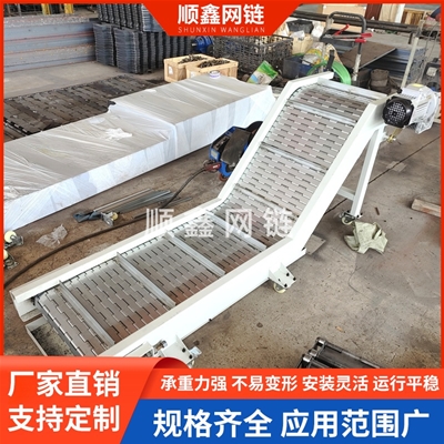 不锈钢链板提升机