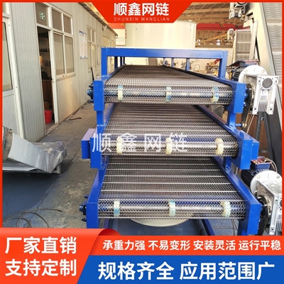 碳钢网带输送机