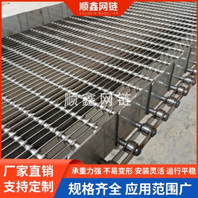 链片网带